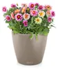 LECHUZA-Pflanzgefäß CLASSICO Color 28 Sandbraun | Produktbild-Vorschau 14