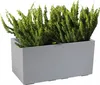 A rectangular gray planter filled with green plants, set against a white background. Náhled obrázku produktu