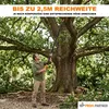 Profi-Partner Langstiel Gartenschere, Astschere mit Produktbild-Vorschau 9