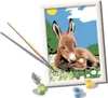 Ravensburger CreArt Kleiner Esel Produktbild-Vorschau 3