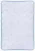 4-Jahreszeiten-Decke Bettdecke 140x200cm (850gr / 1100gr), Produktbild-Vorschau 8