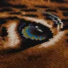 Crystal Art Leinwand Leopard 30x30 cm Produktbild-Vorschau 3