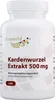 Vitaworld Kardenwurzel 500 mg Kapseln, 100 St. Kapseln Produktbild-Vorschau 1