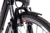28 Zoll E-Citybike CHRISSON E-GENT 8G Shimano Acera ANANDA Produktbild-Vorschau 12