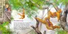 Hör mal: Im Zoo Produktbild-Vorschau 5