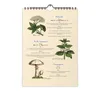 A4-Wandkalender mit historischen Illustrationen von Wildpflanzen, Kräutern und Pilzen. Produktbild-Vorschau