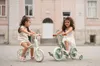 Lorelli ENERGY 2in1 Laufrad & Fahrrad mit Pedalen + Produktbild-Vorschau 29