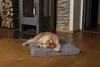 TrendPet VitaMedog orthopädische 5 cm Matratze grau Produktbild-Vorschau 3