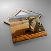 Bild auf Leinwand - Leinwandbild - Zebra Strand Landschaft Produktbild-Vorschau 2