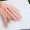 Getrocknetes Mini Pampasgras Rosa, 60cm Länge, mit Produktbild-Vorschau 2