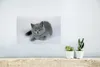 MuchoWow® Poster Anzeige eines wunderschönen Produktbild-Vorschau 5