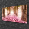 Acrylglasbilder 100x50 Wandbild Druck Fußpfad Baumstämme Produktbild-Vorschau 2