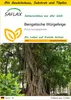 SAFLAX Anzucht Set - Bengalische Würgefeige - Ficus Produktbild-Vorschau 1