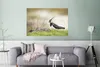 MuchoWow® Poster Vogel - Gras - Tiere - Natur - Kiebitz Produktbild-Vorschau 5