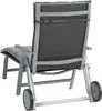 The back view of a gray reclining lounge chair with a gray cushion, shown on a white background. Produktbild-Vorschau
