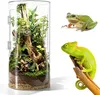 360° Cilindrisch terrarium, vivarium, acryl terrarium, Productafbeelding-voorbeeld 2