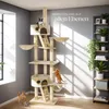 Kratzbaum Hansi 243 bis 260 cm inklusive 2 Treppen, 2 Produktbild-Vorschau 7