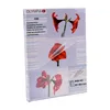 Olympia 1x100 DIN A5 80 micron buste di laminazione 100 Anteprima dell’immagine prodotto 11