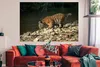 MuchoWow® Poster Tiger - Baby - Felsen 180x120 cm - Produktbild-Vorschau 2