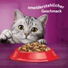 WHISKAS® Karton Trocken 1+ mit Rind 800g Produktbild-Vorschau 5