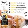 Bugalugs Hundeshampoo Mango Banane 500 ml Vegan Produktbild-Vorschau 7