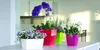 A row of four colorful flower pots with plants on a white surface, likely a table or shelf, with a blurred background of a modern interior. Náhled obrázku produktu