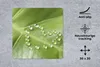 MuchoWow® Mauspad Mousepad Foto eines botanischen Blattes Produktbild-Vorschau 2