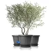 BigDean 50cm Blumentopf mit Untersetzer rund Anthrazit - Produktbild-Vorschau 2
