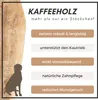 Supravit Osso da masticare naturale in legno di caffè M | Anteprima dell’immagine prodotto 6
