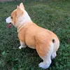 Prodex Welsh Corgi hond, 30 x 26 cm, Polyston, modelnummer Productafbeelding-voorbeeld 4
