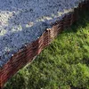 7 Beeteinfassungen aus Weide 20x100cm I Beetbegrenzung Produktbild-Vorschau 8