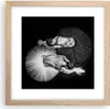 Gerahmtes Poster - Rahmen in heller Eiche - Ballerinas Produktbild-Vorschau 1
