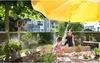 Gardena city gardening Outdoor Sprühnebel Set automatic Produktbild-Vorschau 19