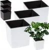 A set of white planters with black inserts, and a smaller white planter with a plant in it. Anteprima dell’immagine prodotto