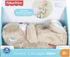 Fisher-Price Slumber Otter Podgląd zdjęcia produktu 16