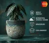 Design Pflanzkübel Keramik Grün Frostfest Struktur Produktbild-Vorschau 8