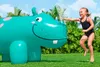 Bestway® Wassersprinkler Hippo 99 x 79 x 122 cm Produktbild-Vorschau 14