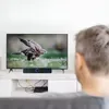 A person is watching a TV with a soundbar in front of it. Voir les images du produit