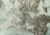 Selbstklebende Folie Fototapete - Juicy Moss 196x140 cm Produktbild-Vorschau 5