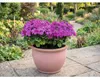 Lafiora Roma keramický květináč Ø 30 cm H 22 cm terakota Náhled obrázku produktu 2
