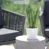 Prosperplast Pflanztopf - Holzoptik - Outdoor - weis - Produktbild-Vorschau 5