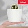 KADAX Blumentopf aus Kunststoff "Ufra", einfacher Produktbild-Vorschau 4