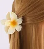 6 Packung Plumeria Acryl Haarspangen Hawaiianische Produktbild-Vorschau 4