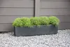 VIVANNO Blumenkasten Beton FLOBO Kasten, Anthrazit matt - Produktbild-Vorschau 4