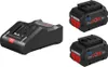 Bosch 2x ProCORE18V Akku 8.0Ah + GAL 18V-160 Produktbild-Vorschau 39