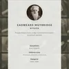 PLAKAT – 84 x 59 cm (A1) – Eadweard Muybridge – Galopujący Podgląd zdjęcia produktu 6