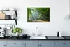 MuchoWow® Poster Frühling - Wald - Baum 60x40 cm - Produktbild-Vorschau 3