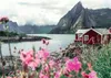 Reine, Lofoten, Norwegen Ravensburger 12000112 Produktbild-Vorschau 2