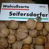 Veredelter Walnussbaum  `Seifersdorfer Runde´ 120-150cm im Produktbild-Vorschau 3