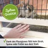 A hand is touching a rabbit cage with a rabbit inside. Text overlays highlight product features. Produktbild-Vorschau